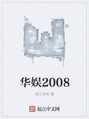 华娱2008